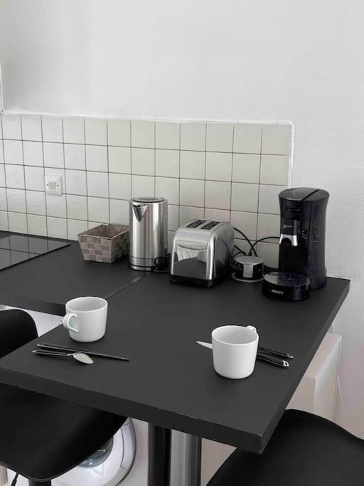 Studio Terrasse Proche Technopole Et Marine ブレスト エクステリア 写真